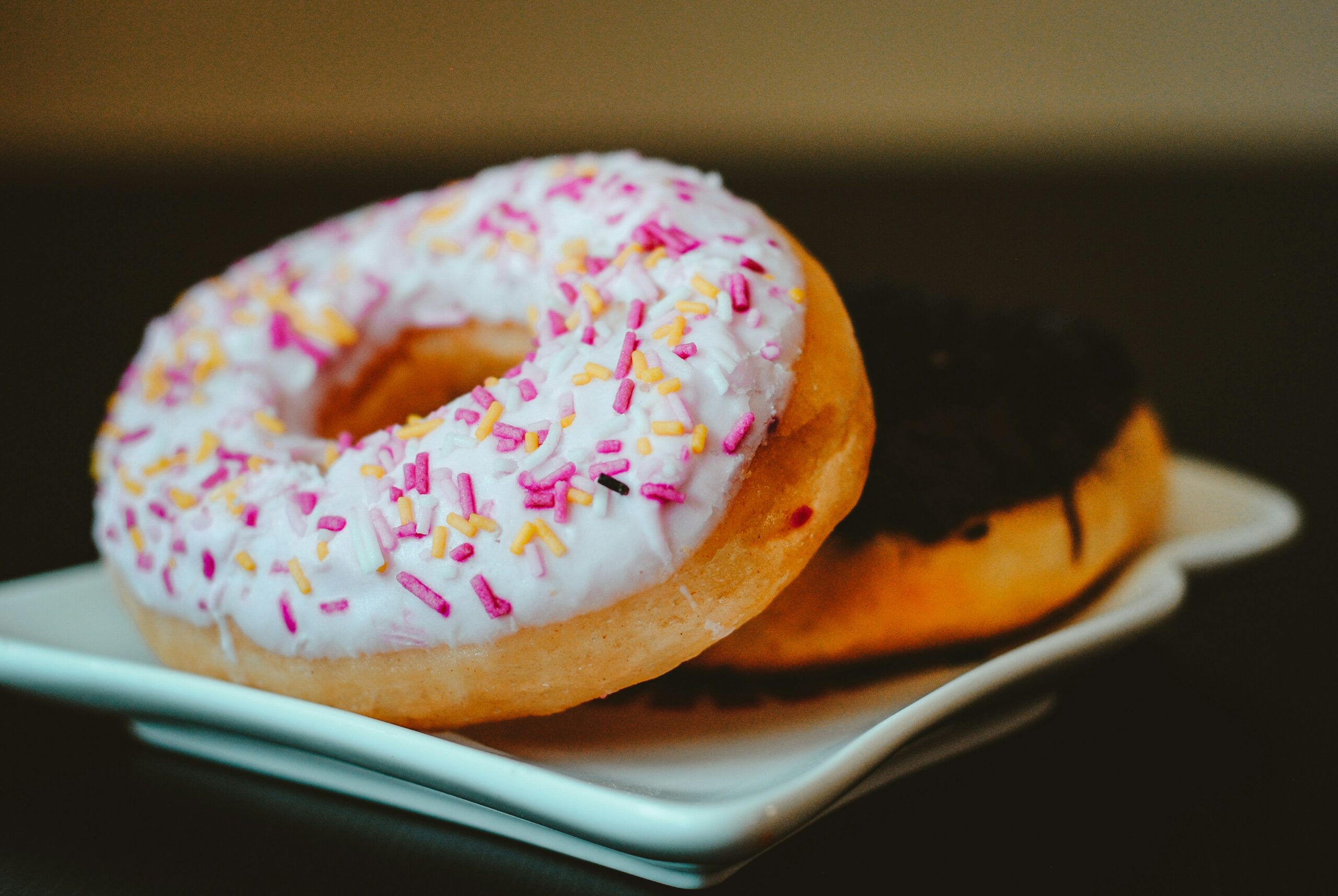 Die Donut Ökonomie – Eine Einführung in die Entstehung, Elemente und Konzepte