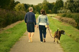 Social Walk – Gruppenspaziergang mit Hunden rund um Bad Sobernheim